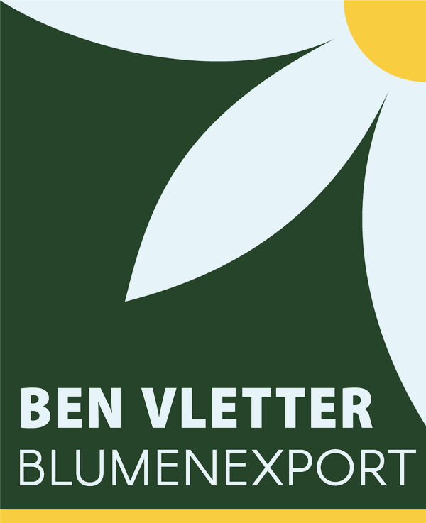 Ben Vletter Blumenexport